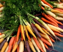 Organic Color Carrots